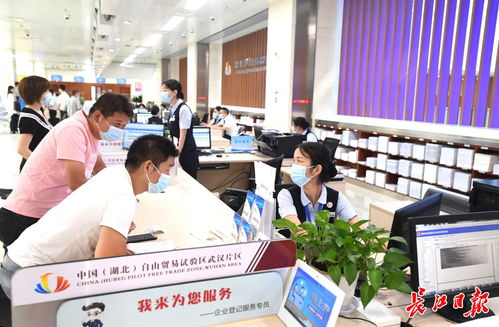 武汉市政府推动新能源技术发展，构建绿色低碳未来